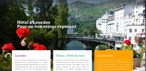 https://www.hotels-lourdes.fr