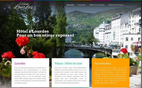 https://www.hotels-lourdes.fr